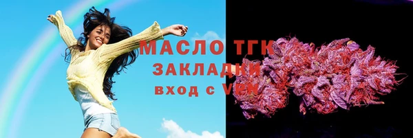 прущие грибы Верхний Тагил