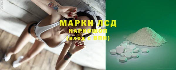 прущие грибы Верхний Тагил