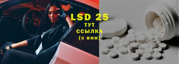 прущие грибы Верхний Тагил
