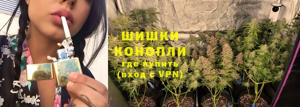 прущие грибы Верхний Тагил