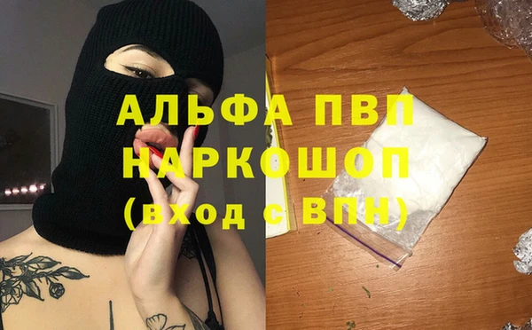 прущие грибы Верхний Тагил