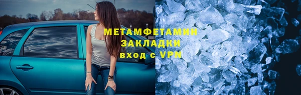 прущие грибы Верхний Тагил