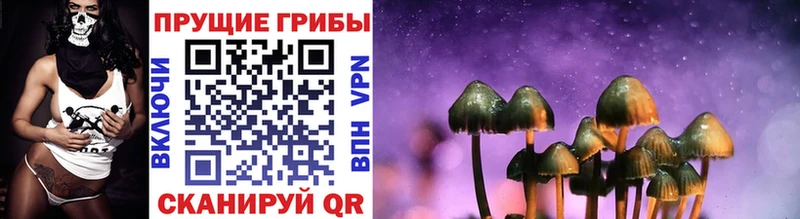 Галлюциногенные грибы GOLDEN TEACHER  Прокопьевск 